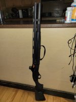 20251129_072314 - Copy.jpg