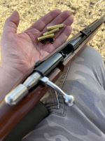 9mmFLOBERT2.png 9mmFLOBERT2.png