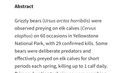 Screenshot_20251203-201317.png Screenshot_20251203-201317.png