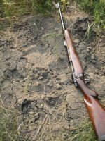 griz tracks with .375.JPG