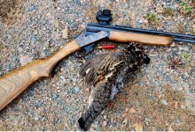 Screenshot_20251207_165537_Photos.jpg Screenshot_20251207_165537_Photos.jpg