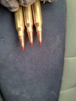 1000001283.jpg 1000001283.jpg