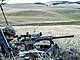 P7229213-traite.jpg