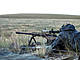 P7229218-traite.jpg