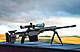 P7229229-traite.jpg