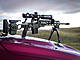 P7229241-traite.jpg