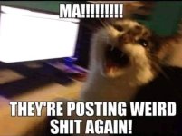 Ma, they're posting weird #### again.jpeg