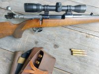 IMG_20240619_173159.jpg IMG_20240619_173159.jpg