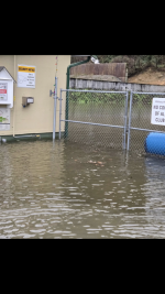 IMG_3810.png IMG_3810.png