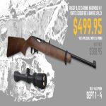 ruger1022carbine-w-vortex.jpg