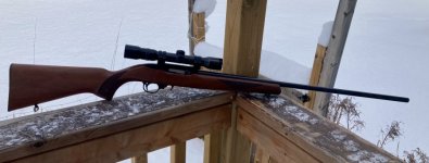 IMG_1583.jpeg IMG_1583.jpeg