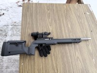 IMG_8257.jpg IMG_8257.jpg