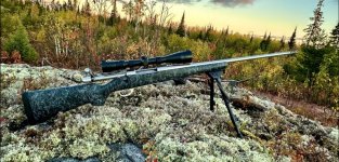 IMG_8822.jpeg IMG_8822.jpeg