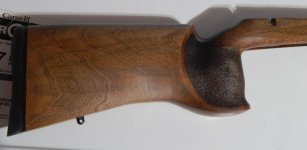 CZ457 Butt Pic Feb-2023.JPG