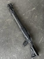 IMG_4016-scaled.jpg