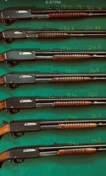 IMG_0518.jpeg IMG_0518.jpeg