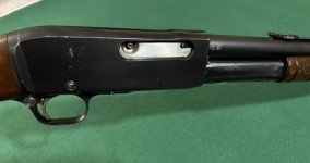 IMG_0519.jpeg IMG_0519.jpeg