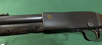 IMG_0520.jpeg IMG_0520.jpeg