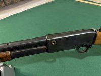 IMG_0523.jpeg IMG_0523.jpeg