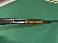 IMG_0525.jpeg IMG_0525.jpeg