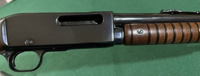 IMG_0527.jpeg IMG_0527.jpeg