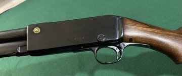 IMG_0529.jpeg IMG_0529.jpeg