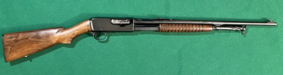 IMG_0537.jpeg IMG_0537.jpeg