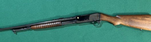 IMG_0538.jpeg IMG_0538.jpeg