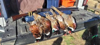 Westely Richards box lock 2024.jpg