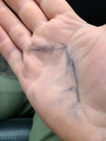 20260110_152704.jpg 20260110_152704.jpg