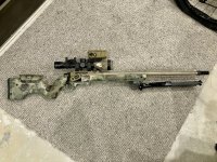 Photo 2025-05-14, 11 06 50 AM (1).jpg