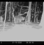 1000039081.jpg 1000039081.jpg