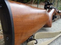 1769204777083.jpeg 1769204777083.jpeg