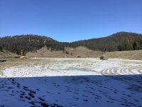 IMG_3251.jpeg