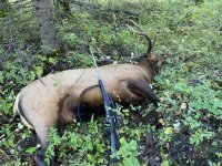 555340104_1496658924804971_6976930217925900123_n.jpg 555340104_1496658924804971_6976930217925900123_n.jpg