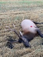 IMG_4484.jpeg IMG_4484.jpeg