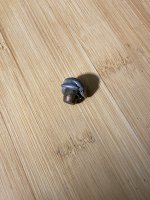 IMG_7807.jpeg IMG_7807.jpeg