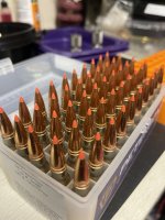 IMG_5427.jpeg IMG_5427.jpeg