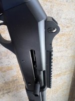 IMG_4186.jpeg