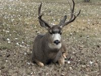 IMG_3878.jpeg