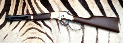 Henry mare's leg.jpg