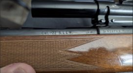 IMG_6081.jpeg IMG_6081.jpeg