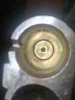 20260224_162119.jpg