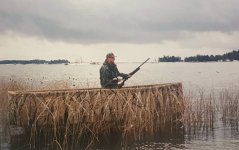 20171018_215901.jpg 20171018_215901.jpg