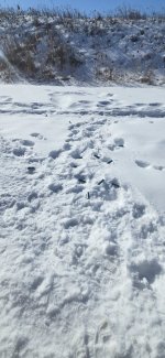 20260304_104557.jpg