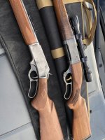 IMG_7169.jpeg IMG_7169.jpeg