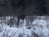 IMG_6536.jpeg