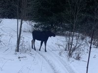 IMG_6547.jpeg