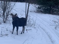 IMG_6548.jpeg