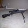 darcy32171